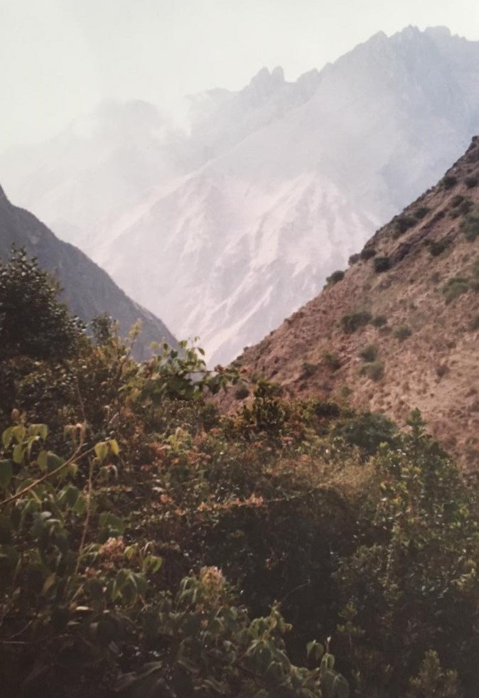 View of the mountains and Yungas