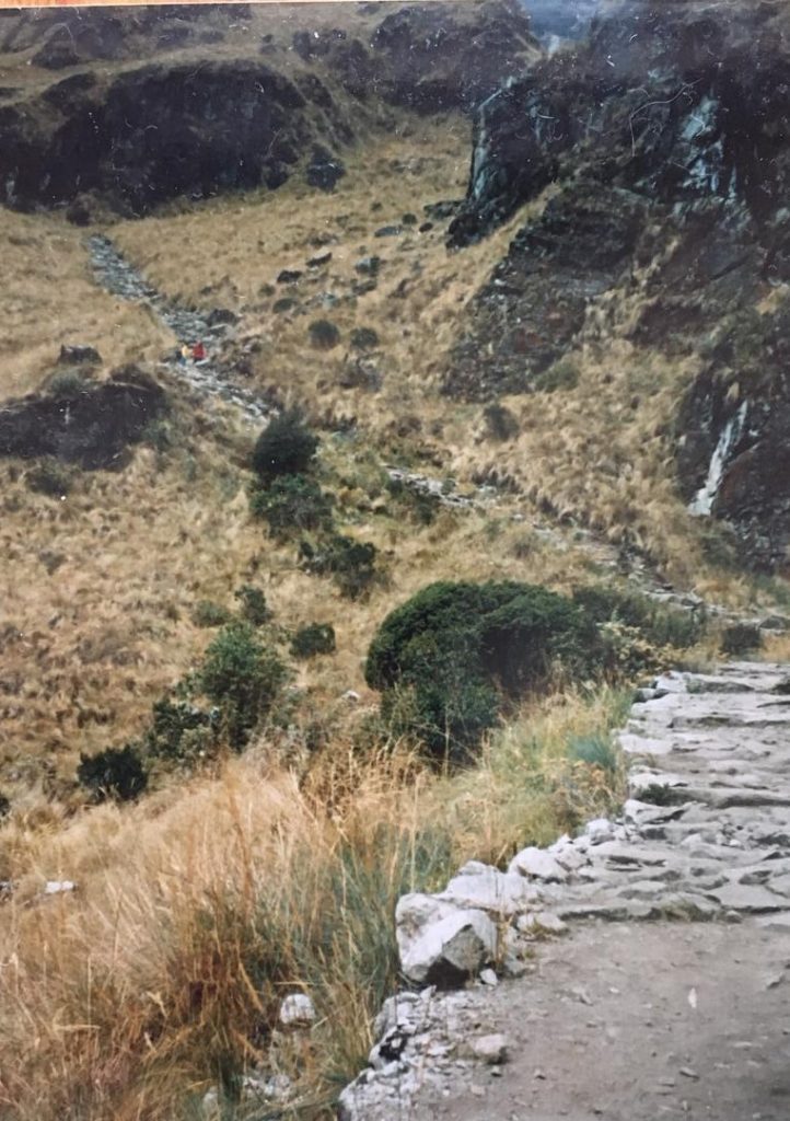 Winding steps of the Inca Trail
