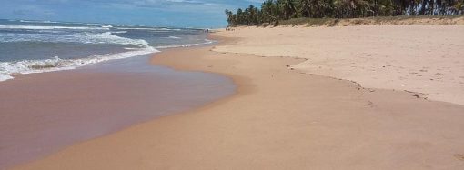 Stress free vacations in Praia Do Forte, Brazil
