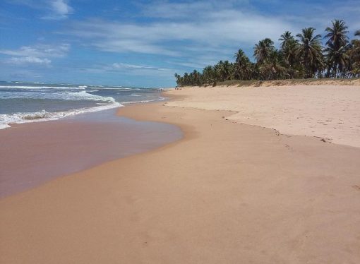 Stress free vacations in Praia Do Forte, Brazil