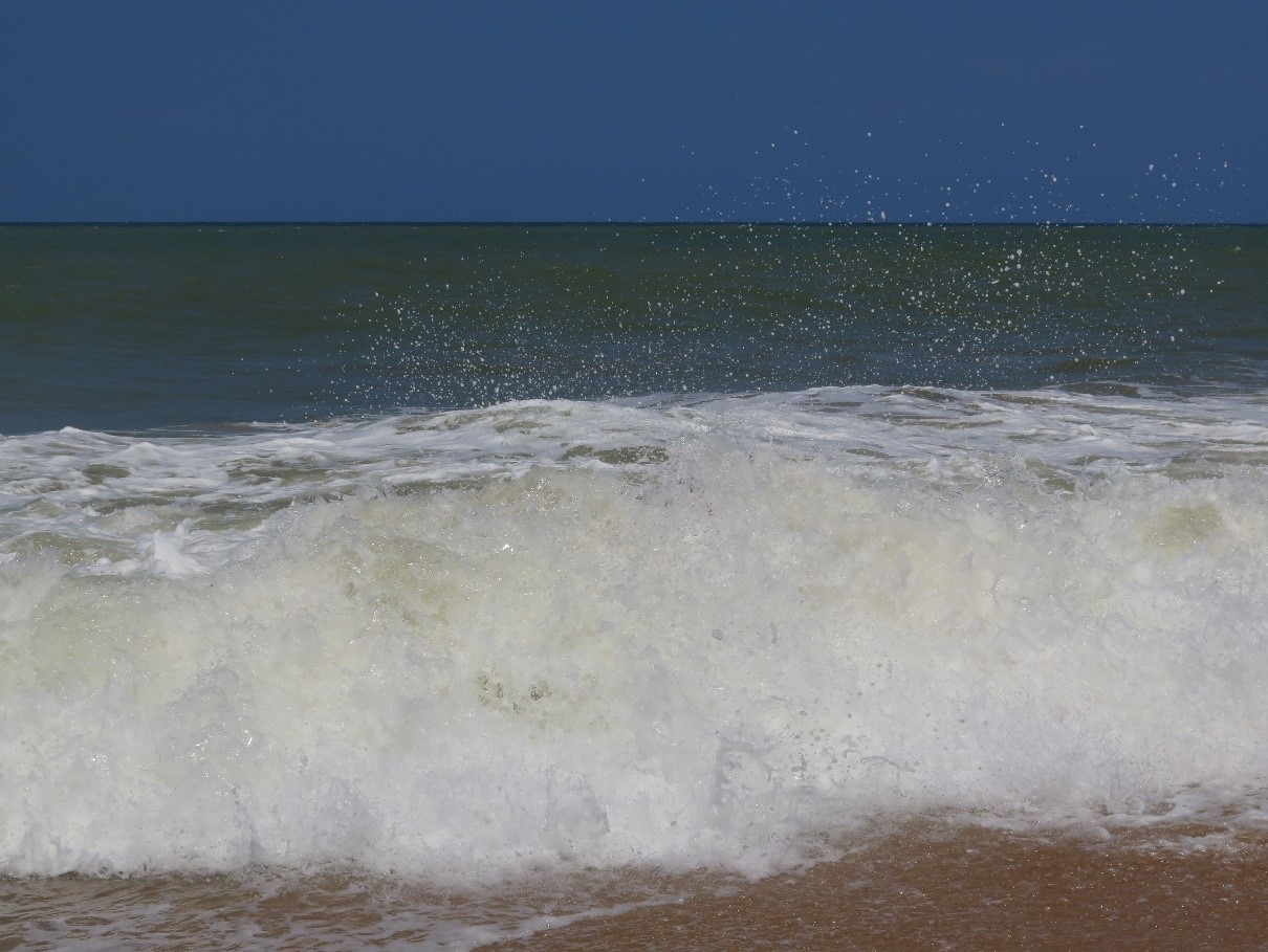 Sample of sea waves from the shore