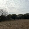 The Place Where the Sky Fell: Discovering Argentina’s Campo del Cielo