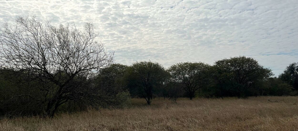The Place Where the Sky Fell: Discovering Argentina’s Campo del Cielo