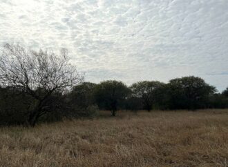 The Place Where the Sky Fell: Discovering Argentina’s Campo del Cielo