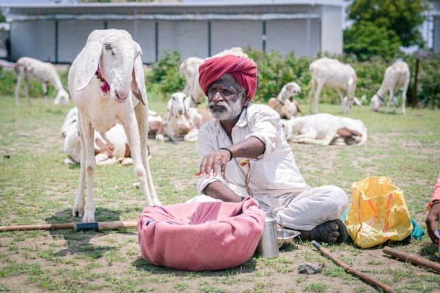 Foto von Darshan Gavali auf Unsplash