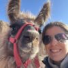 Beyond the Postcard: Making Friends with the Llamas