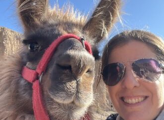 Beyond the Postcard: Making Friends with the Llamas