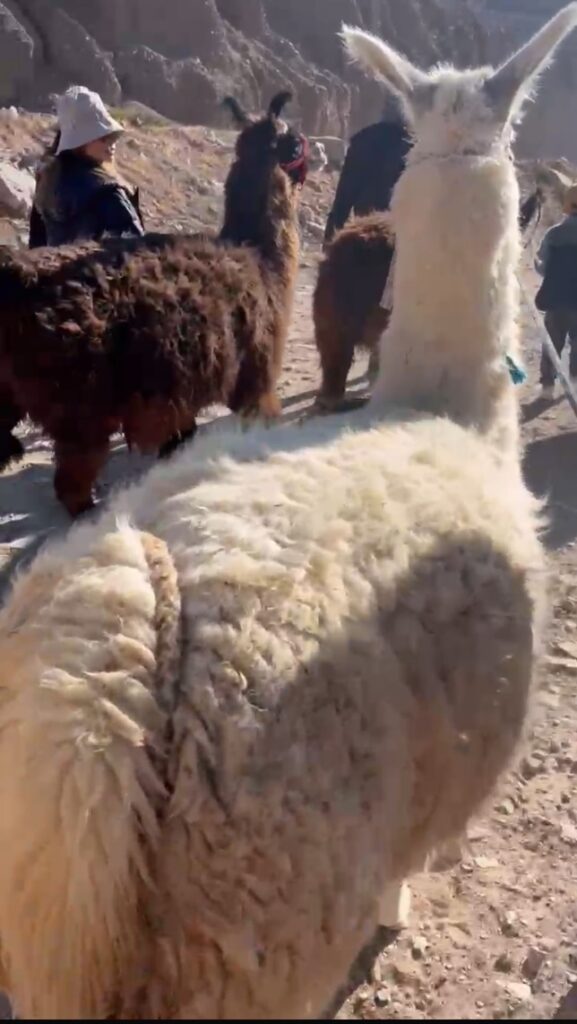 Walking down the riverbed, Tilcara, Jujuy, Argentina. Image credit: Virgi (author).