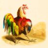 The assembled intelligence on Twitter